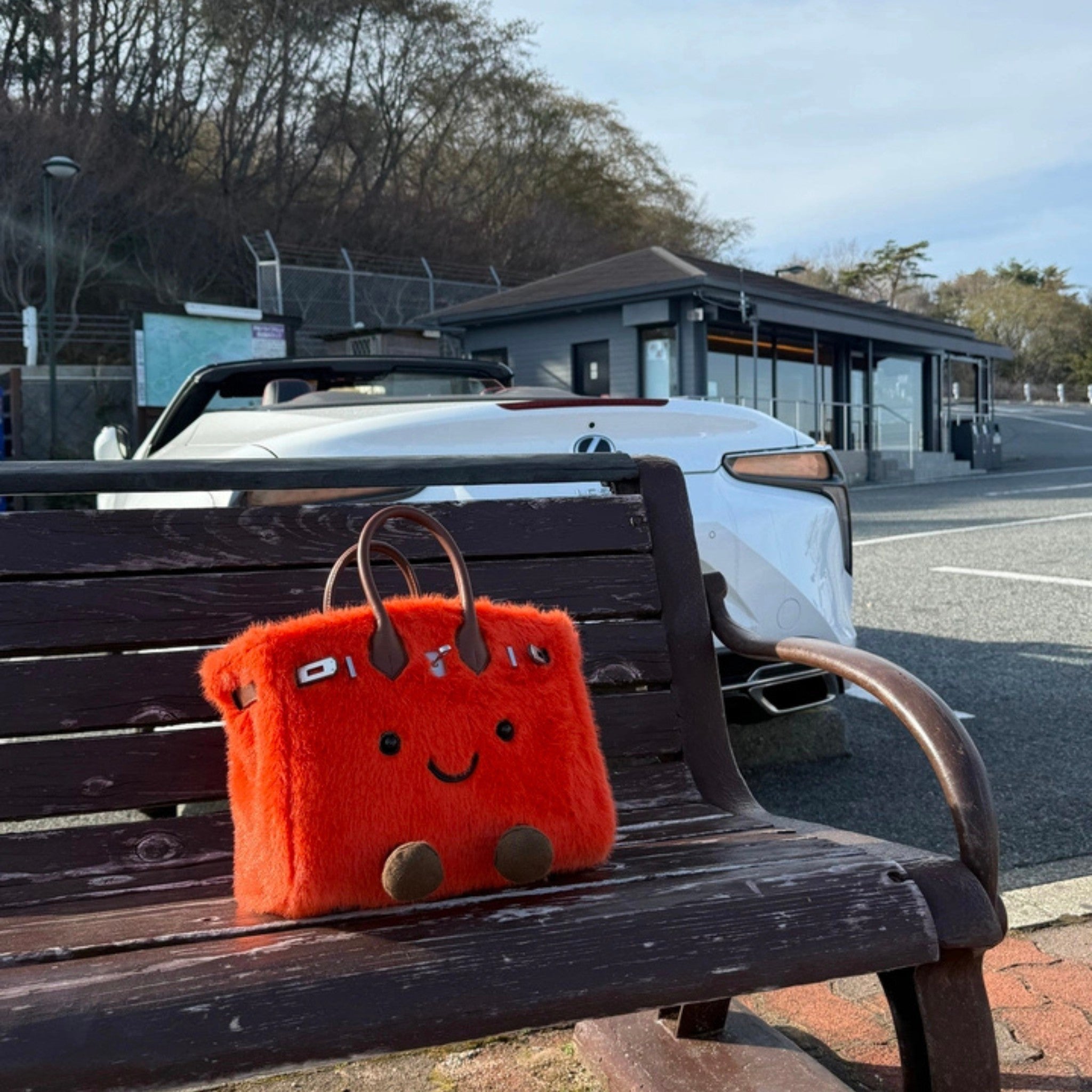 Birky Handbag