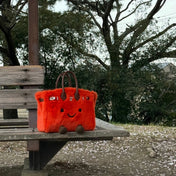 Birky Handbag