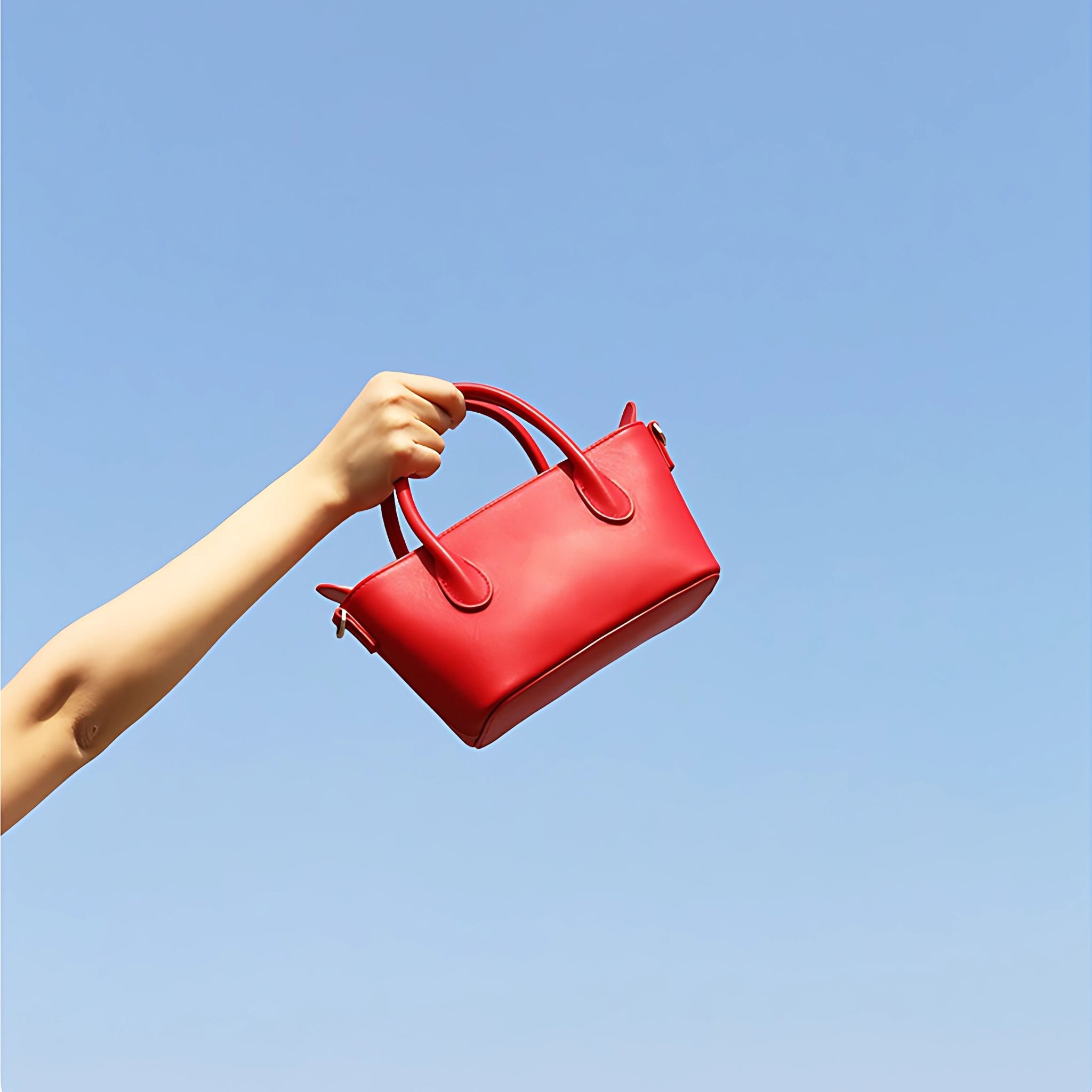 Minnie Tote Bag - Bagulia